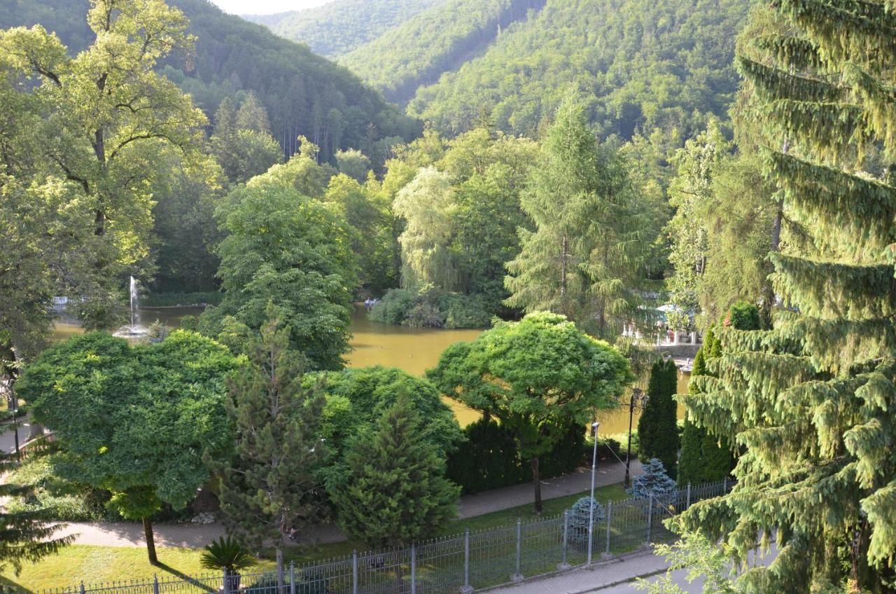Floravilla Rajecké Teplice المظهر الخارجي الصورة